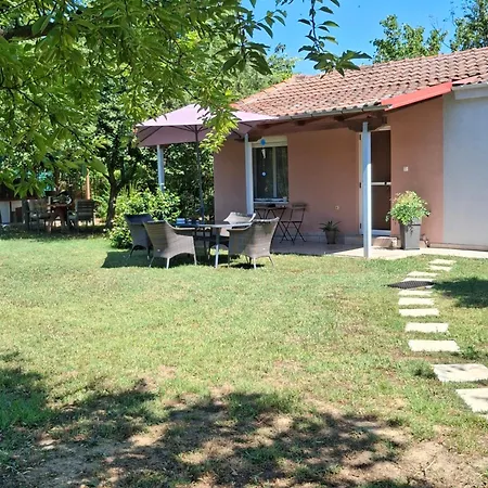 Avli Cozy