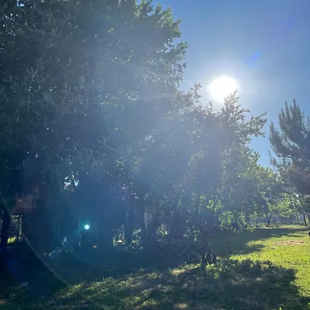 Casa vacanze Avli Cozy