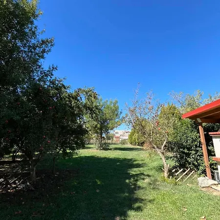 Casa vacanze Avli Cozy *