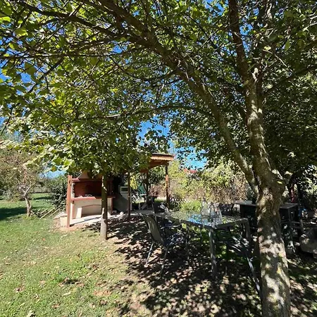 Avli Cozy Casa vacanze